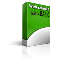 Website - Basic Package - box